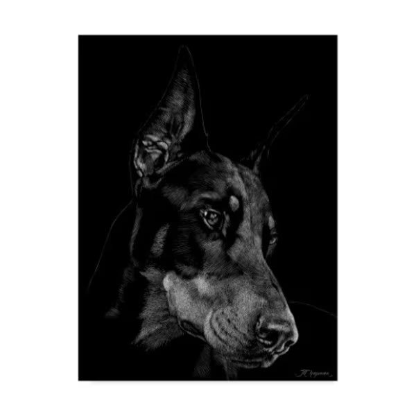 Julie T. Chapman 'Canine Scratchboard Iii' Canvas Art, 35x47, Trademark Fine Art, Mfr#: WAG03466-C3547GG